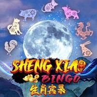 Sheng Xiao Bingo